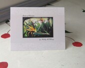 NOTECARD WRITING SET of 6 Blank Tropical Flowers "Birds of Paradise"