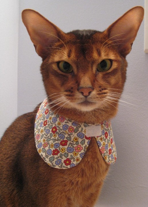 Sweet Round Collar in choice of color or print