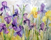Irises Springtime Floral Art Print by Miriam Schulman