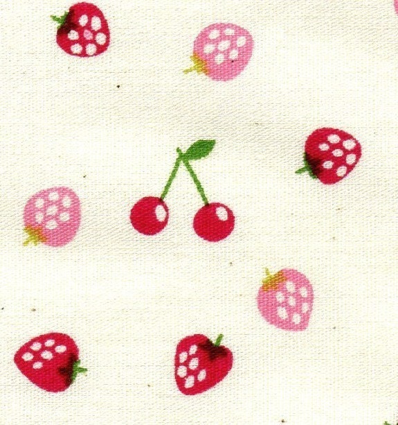 Sweet Fruits in Pink and Red-Cotton-EK-QS27604A