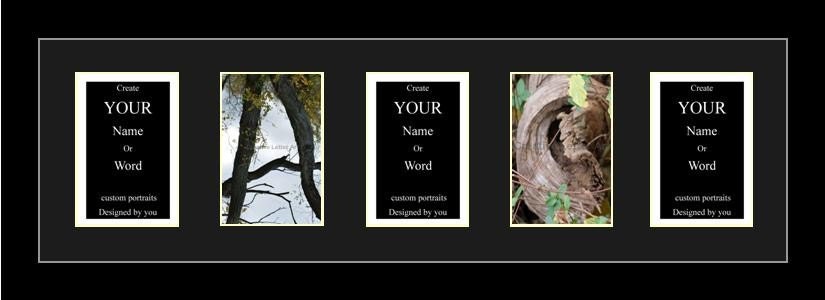 5 4x6 Alphabet Letter Photographs matted in a 12x26 custom frame Complete