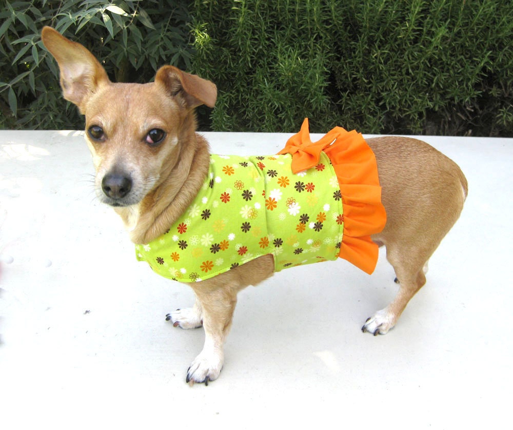 Dog Dress Harness Green Flowers Orange Ruffle