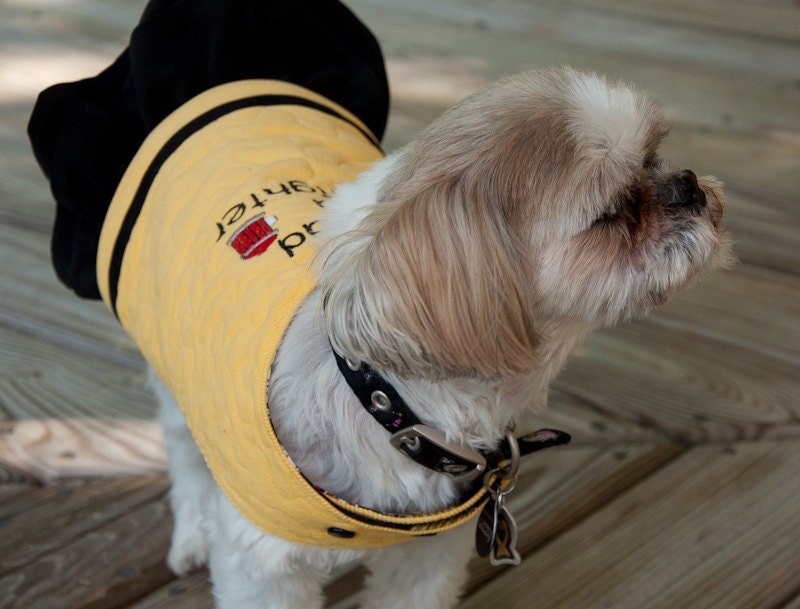 Black Corduroy Dog Skirt