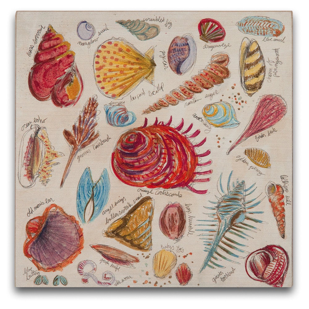 Beachcomber Gift Shells Art Print on Wood, BOX PRINT reproduction Oceanfront