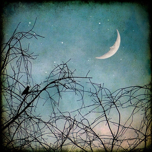 bird in tree, man in the moon, stars crescent winter 8x8 print teal blue fine art print - Hello Moon