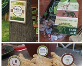 DINO-DIG Dinosaurs Birthday Party - Coordinating Dinosaur Printables - Customized Printable Package
