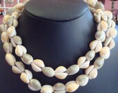 Vintage Strung Tropical Seashell Necklace