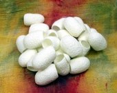 White Silk Cocoons pack of 100