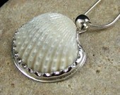Bezel Set Sterling Silver Seashell Pendant