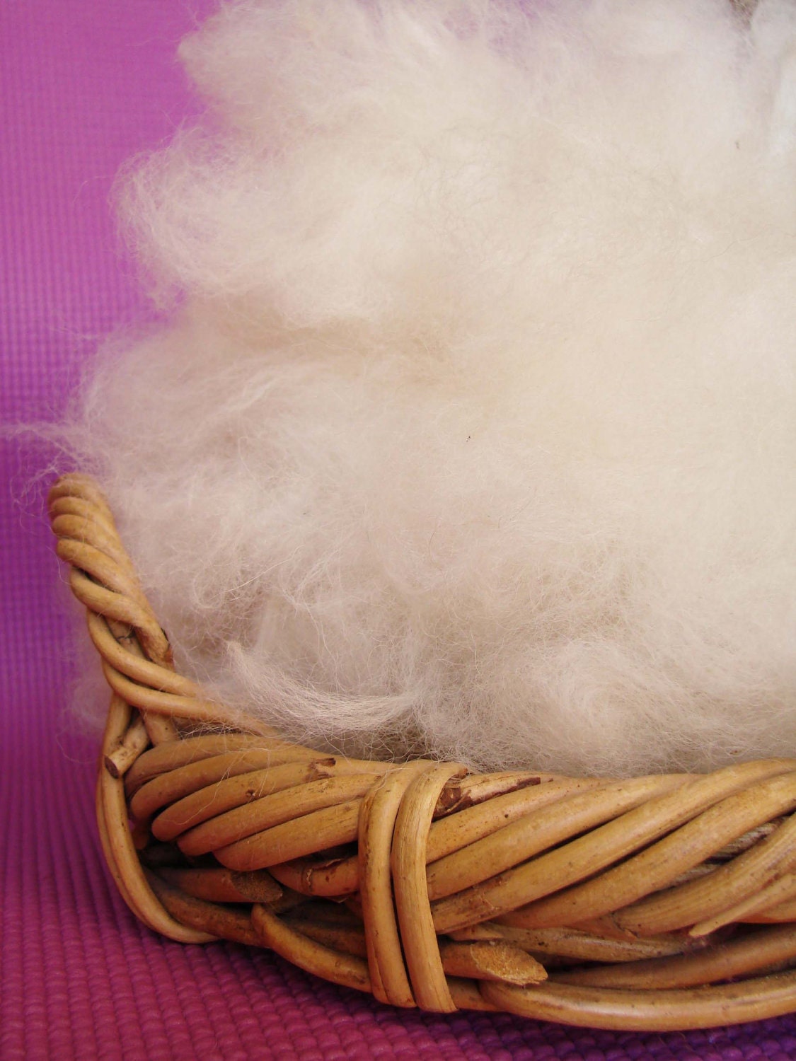 Huacaya Alpaca - washed and picked  - 4 oz