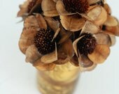 thistle flower mound- dried flower arrangement