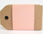 Kraft Paper Luggage Tags (50) - Hole Punched