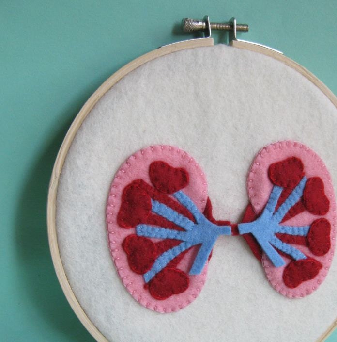 Kidneys Embroidery Hoop