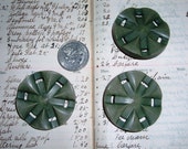 Great Set 3 Vintage Large Greyed Green Plastic Coat Buttons 1950s