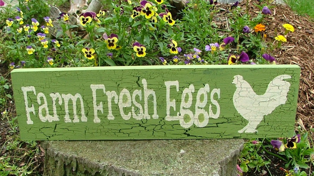 Wooden Farm Fresh Eggs Sign (Spring Green with Crackle Effect)