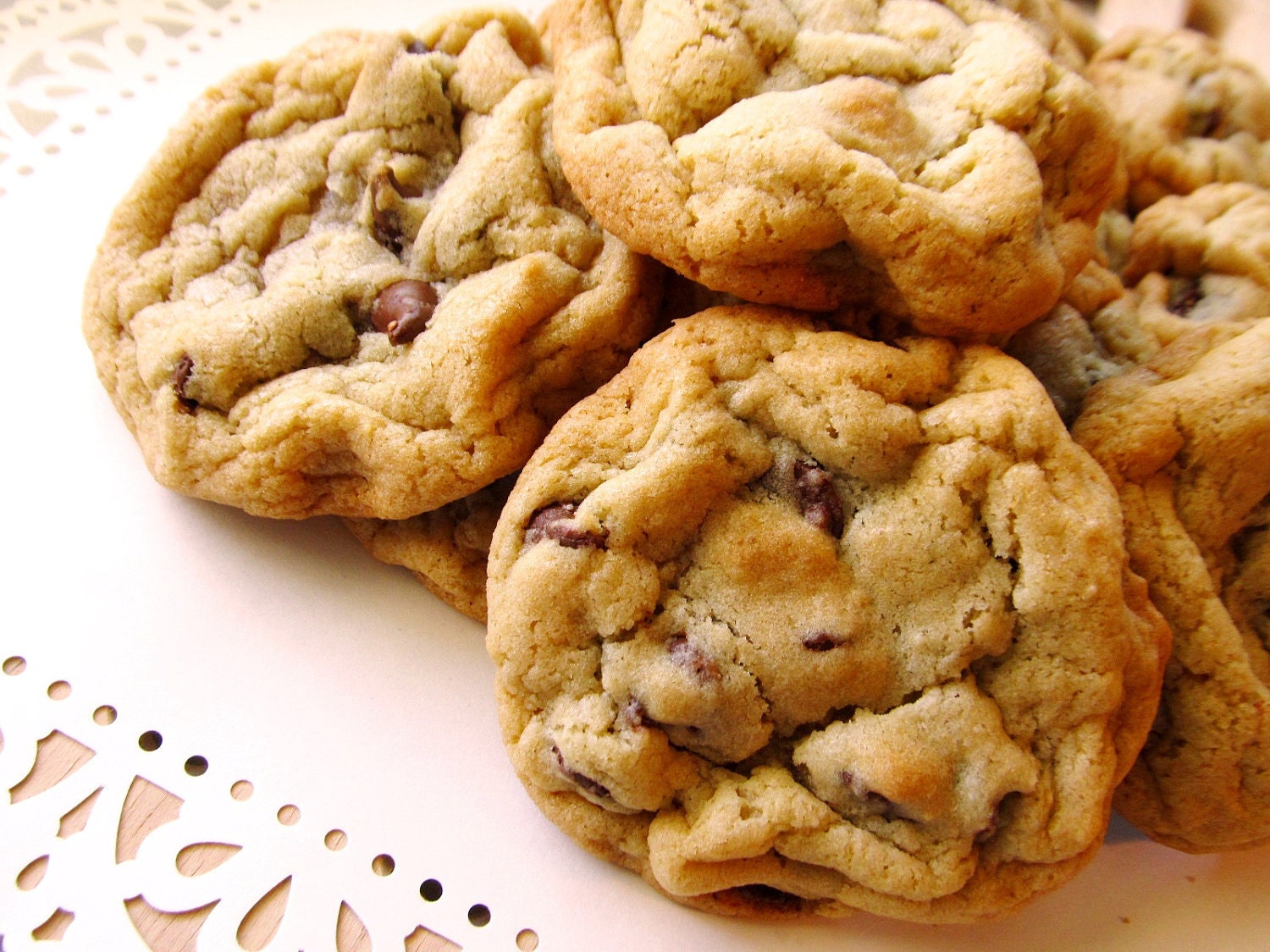 FATHER'S DAY SALE 4 Dozen Classic Chocolate Chip Cookies