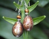 Big Island Cowry Shell Earrings w/ Tigers Eye
