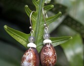 Big Island Cowry & Puka Shell Earrings w/ Labradorite