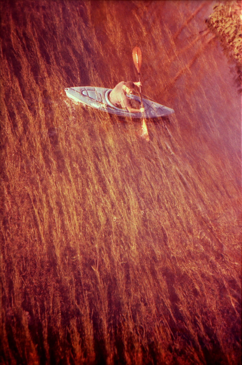 Kayak -  4 x 6 Photograph