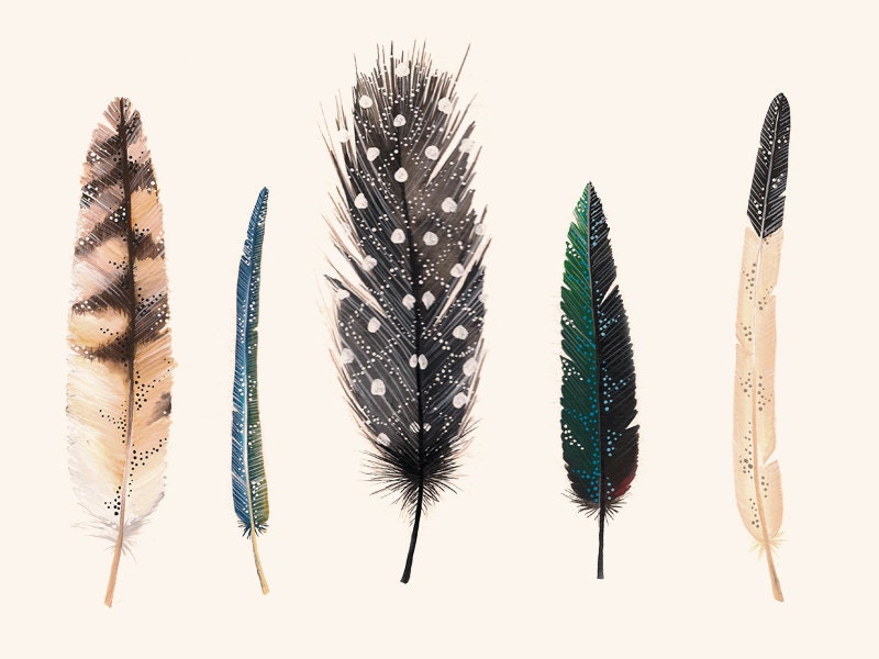 Feathers 2 - 11x17 Print