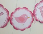 HAPPY BIRTHDAY Banner - Birdie Light & Hot Pink Themed Party Decorations - Girl Party Decorations