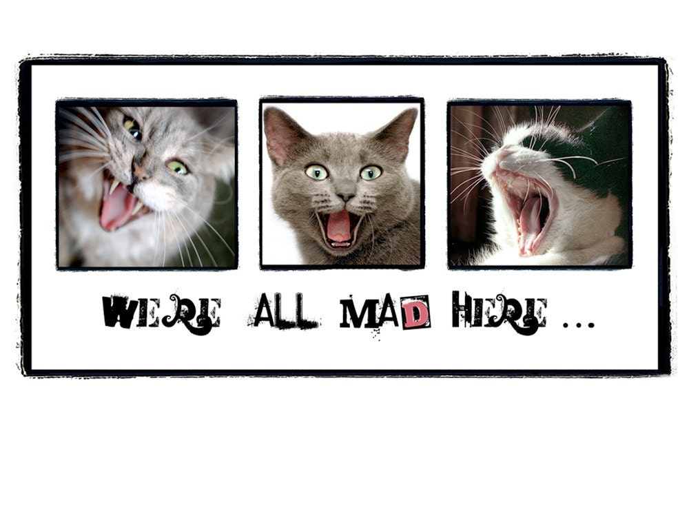 SET OF 4 - Cat - We're All Mad Here - Greeting Card Blank  -