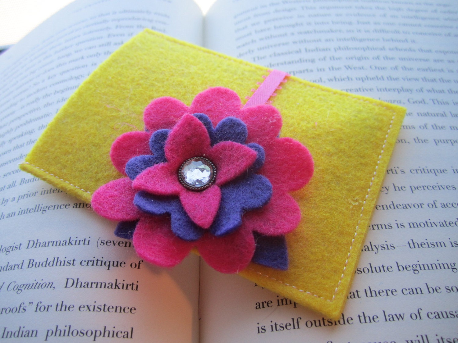 Passionfruit, Birth Control Pill Case