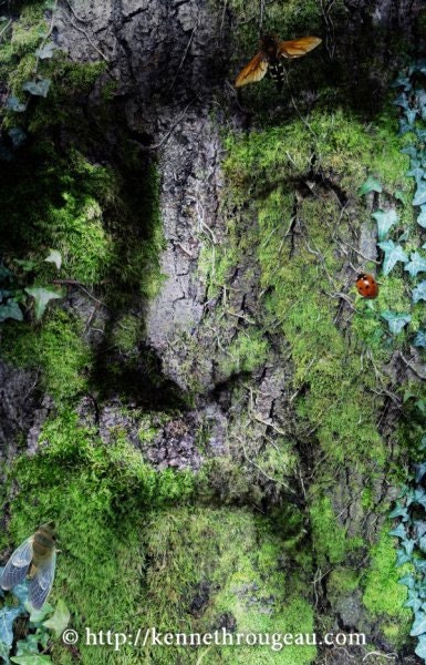 The Green Man (Walt Whitman) - 11x17 Surreal Fantasy Nature Fine Art Print
