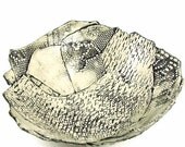 Large Stamped Stoneware Bowl / Handmade Clay Pottery