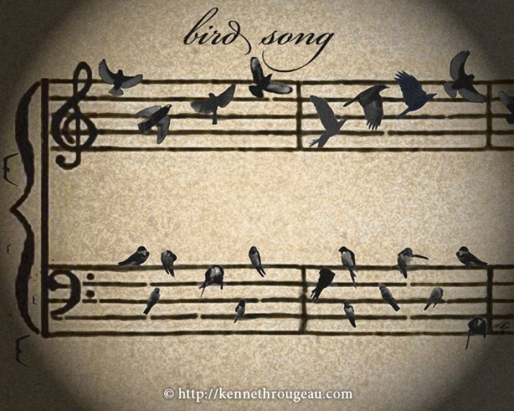bird song - 11x14 Music Inspired Fantasy Animal Fine Art Print
