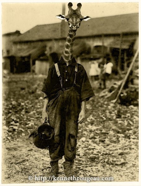 That Awkward Stage - 11x14 Anthropomorphic Giraffe Fantasy Animal Fine Art Print