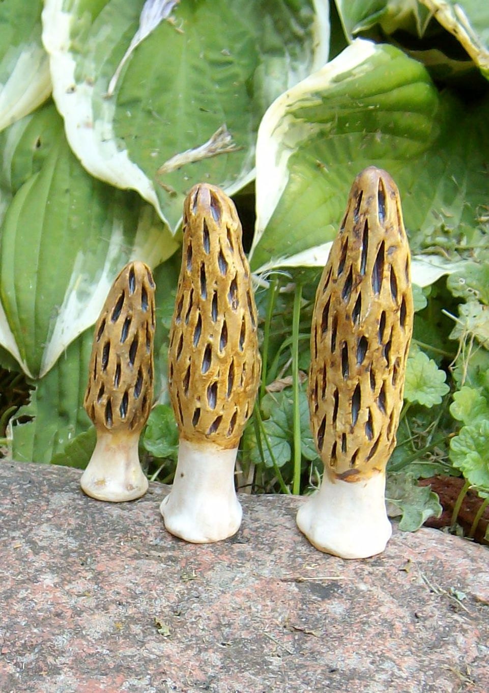 Morel Mushroom family of 3 handmade from stoneware by Earth N Elements Pottery