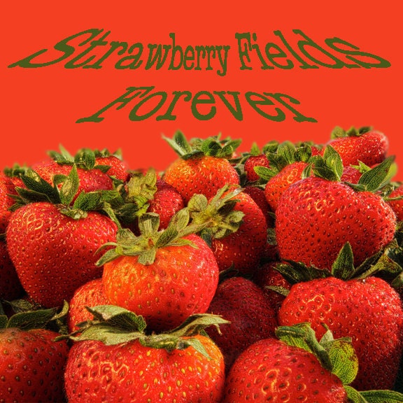 SALE - Strawberry Fields Forever - Photograph Collage Print - 10"X10" (also available 5"X5")