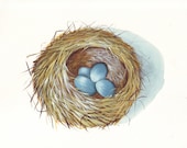 Bird Nest painting print of gouache and watercolor painting - Splodgepodge