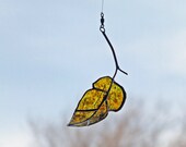Glass Elm Leaf from Grain Belt Bottle