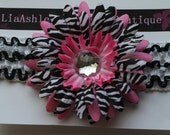 Boutique Style Pink Zebra Gerber Daisy Headband Set