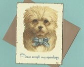 Apology Card, I'm Sorry Card