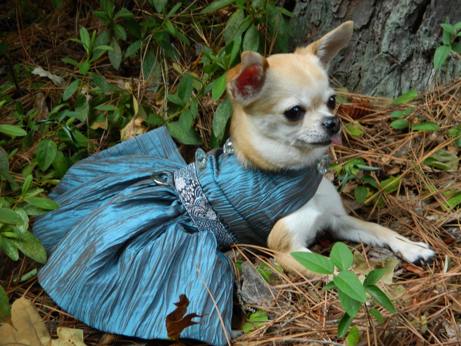Blue Ice Elegant - Fancy Dog Dress