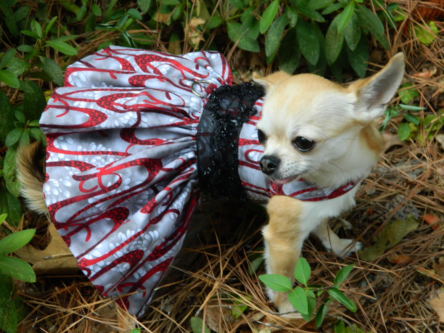 Swirled Ribbons - Fancy Dog Dress