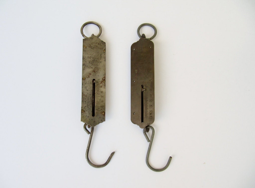 Pair of Spring Balances
