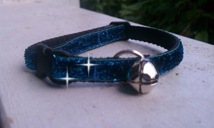 Kitty Bling - Teal Glitter - Breakaway Adjustable Cat Collar