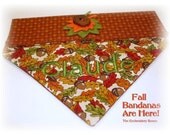 Collared Dog Bandana-Falling Leaves Sizes xs,sm or med