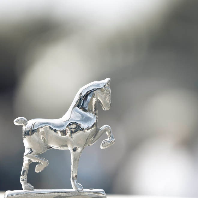 Buy1 Get1 Free Equestrian decor Horse print western decor, silver and gray decor trophy, race, art for dudes, southwest, metallic, raceytay - Raceytay Buy1 Get1 Free Equestrian decor Horse print western decor, silver and gray decor trophy, race, art for dudes, southwest, metallic, raceytay - Raceytay