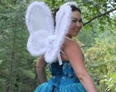 Fuzzy White Wings