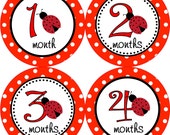 Baby Month Stickers - Baby Girl Monthly Onesie Stickers Red and Black Polka Dot Ladybug Month Stickers Baby Shower Gift and Photo Prop - Ava