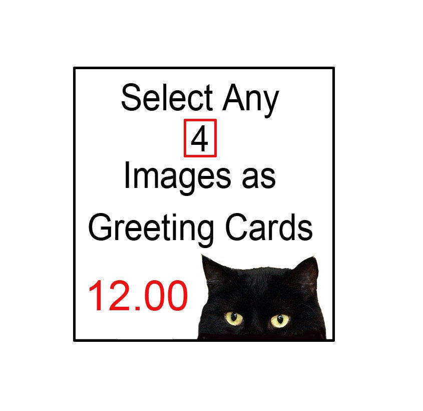 Any 4 Images as Greeting Cards Blank Inside