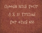 Any four 8 x 10 Wild Life Prints at a special low price