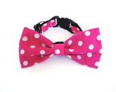 Bowtie Collar -Pink Polka dot -