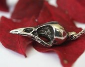 Crow Skull Necklace on 24" Chain - White Bronze Raven Bird Skull Pendant