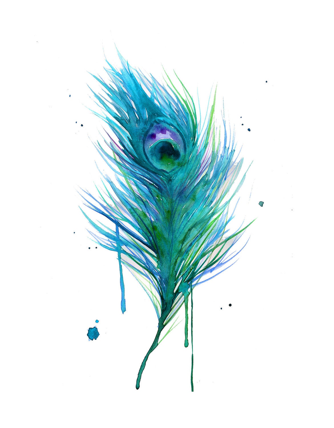 Watercolor Teal Peacock Painting print version